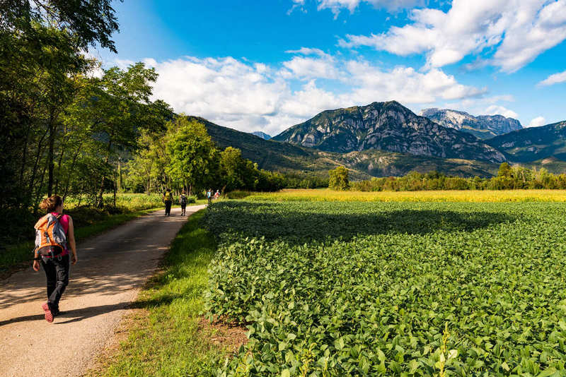 Sul Cammino, 19-27 settembre 2025